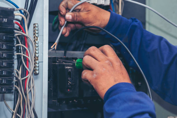 Best Home Electrical Repair  in Potterville, MI